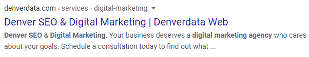 Denver SEO and Digital Marketing agency search result.